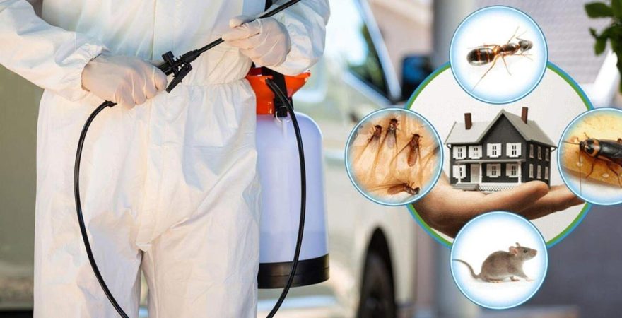 Kozbeyli Böcek İlaçlama