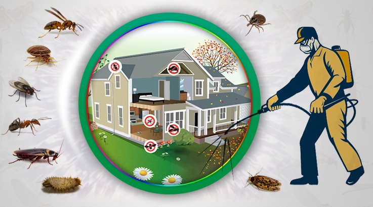 Kozbeyli Böcek İlaçlama