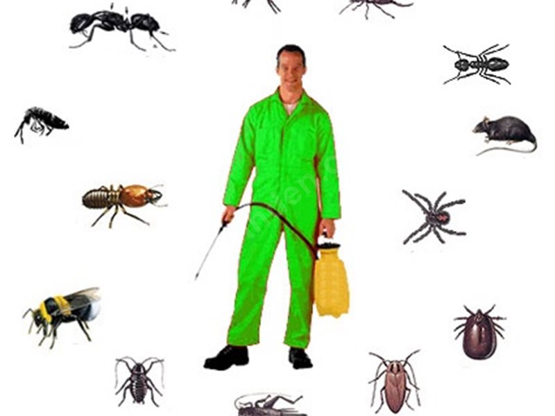 Kozbeyli Böcek İlaçlama